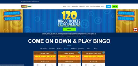 Bringo bingo casino download